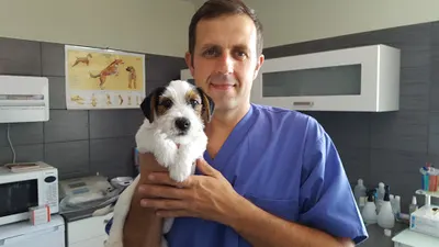 PUMA Przychodnia Weterynaryjna